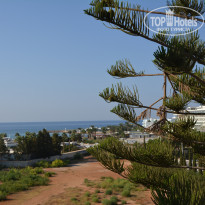 фото из отзыва ID 1849286