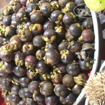 фото из отзыва ID 1849299