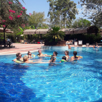 фото из отзыва ID 1841848