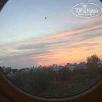 фото из отзыва ID 1849522