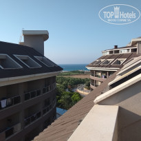 фото из отзыва ID 1849720