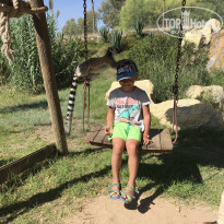 фото из отзыва ID 1849876