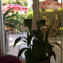 фото из отзыва ID 1849983