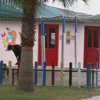 фото из отзыва ID 1849849