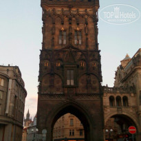 фото из отзыва ID 1849496