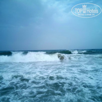 фото из отзыва ID 1848423