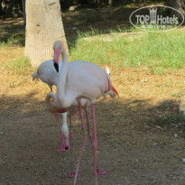 фото из отзыва ID 1848085