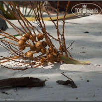 фото из отзыва ID 1846845