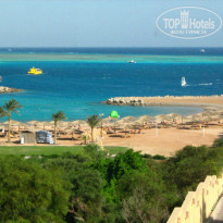 фото из отзыва ID 185943