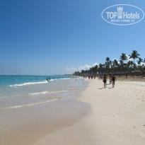 фото из отзыва ID 185132