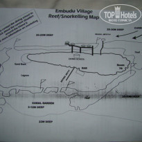 фото из отзыва ID 185858