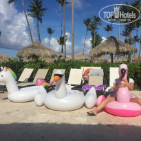 фото из отзыва ID 1850191