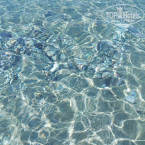 фото из отзыва ID 1850096