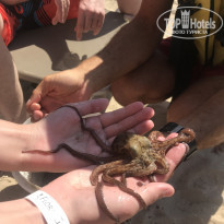 фото из отзыва ID 1850231