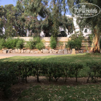 фото из отзыва ID 1850382