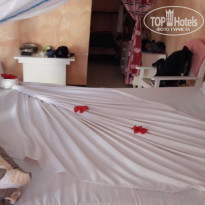 фото из отзыва ID 1850472