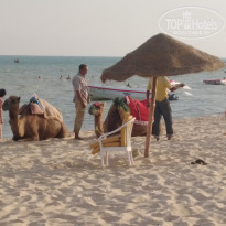 фото из отзыва ID 1850327