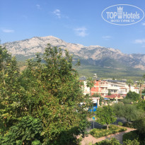 фото из отзыва ID 1850777