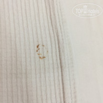 фото из отзыва ID 1850777