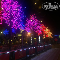 фото из отзыва ID 1850777