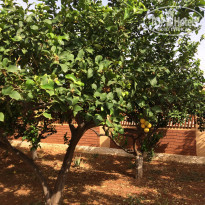 фото из отзыва ID 1850816