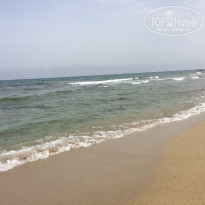 фото из отзыва ID 1850816