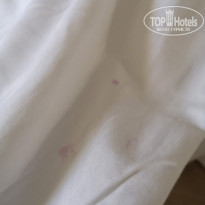 фото из отзыва ID 1850910