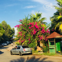 фото из отзыва ID 1850998