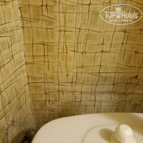 фото из отзыва ID 1851054