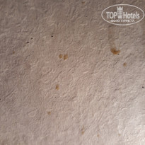 фото из отзыва ID 1851054