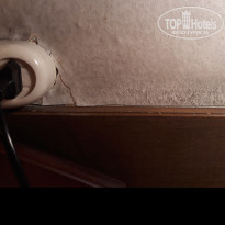 фото из отзыва ID 1851054