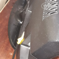 фото из отзыва ID 1851054