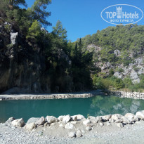 фото из отзыва ID 1851058