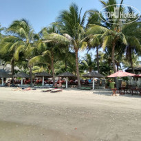 фото из отзыва ID 1851133