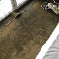 фото из отзыва ID 1851297