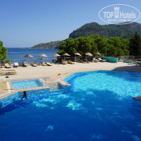 фото из отзыва ID 1851339