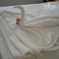 фото из отзыва ID 1851332