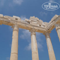 фото из отзыва ID 1851495