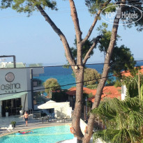 фото из отзыва ID 1851430