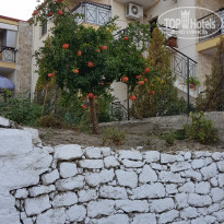 фото из отзыва ID 1851625