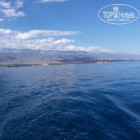 фото из отзыва ID 1851770