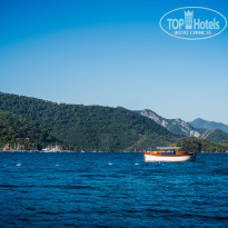 фото из отзыва ID 1851883