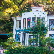 фото из отзыва ID 1851883