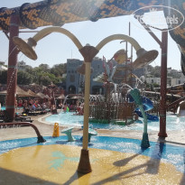 фото из отзыва ID 1851918