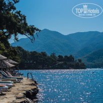 фото из отзыва ID 1851883