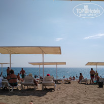 фото из отзыва ID 1851929