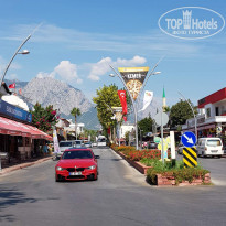 фото из отзыва ID 1851733