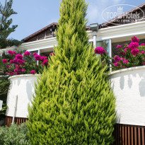 фото из отзыва ID 1851979