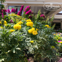 фото из отзыва ID 1851979