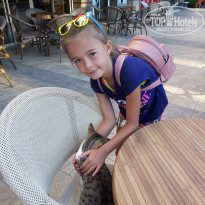 фото из отзыва ID 1852116